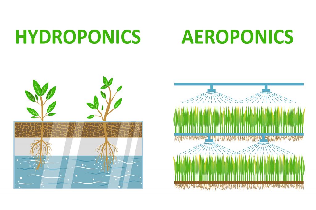 Aeroponics Vs Hydroponics Discover A Method That Works