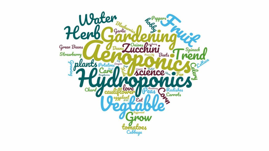 Aeroponics and Hydroponics Word Cloud