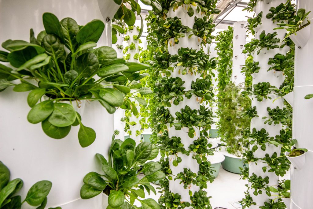 Aeroponics verticle.