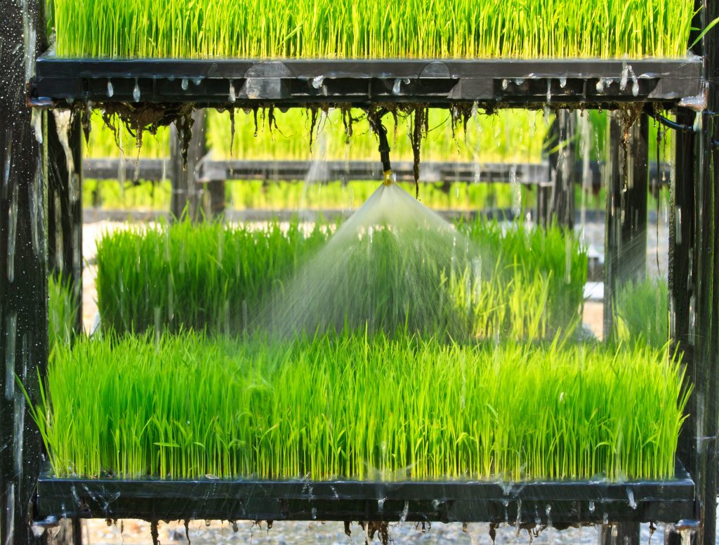 aeroponics system