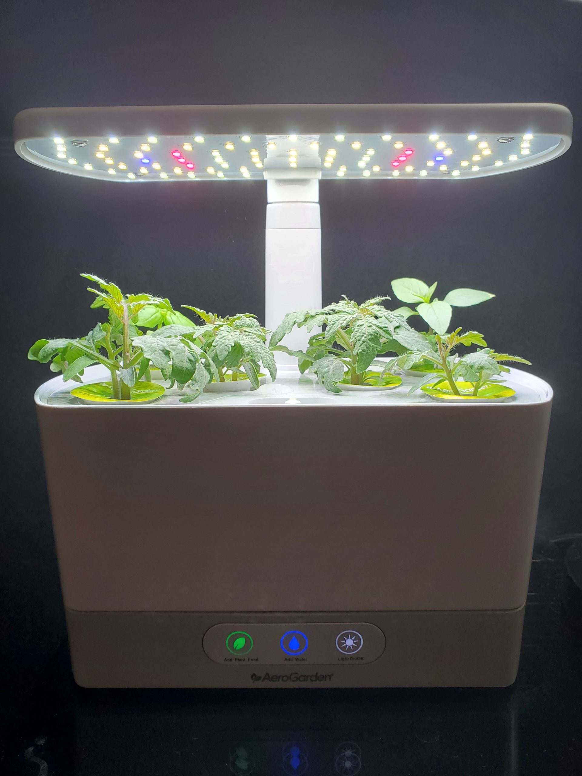 Aerogarden Harvest Slim with 4 Golden Tomatoes, 1 Genovese ...