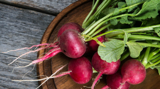 Red Radishes