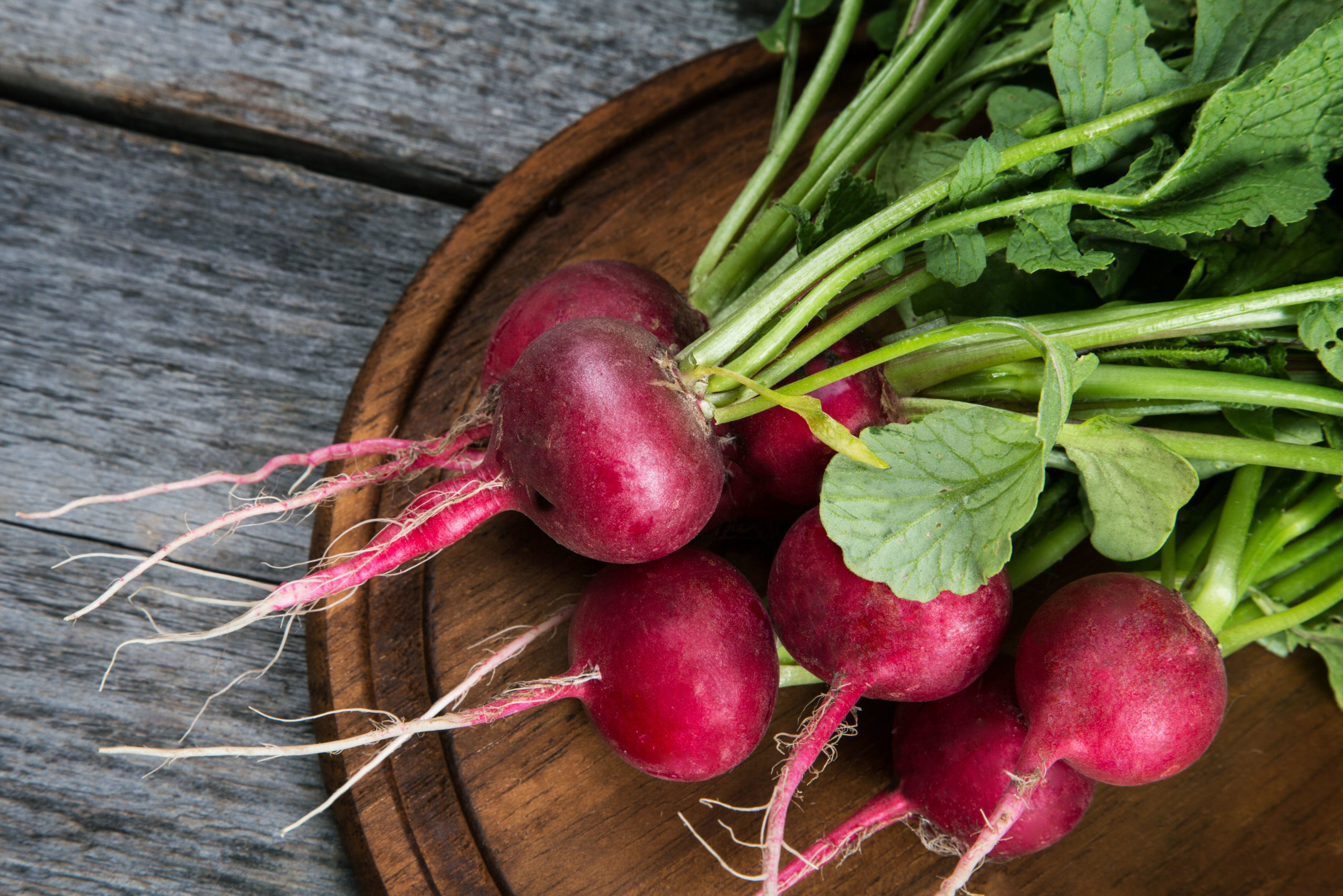 Red Radishes