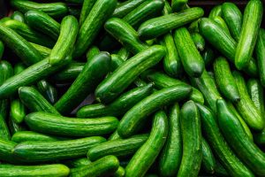 How to Grow Cucumbers with Hydroponics