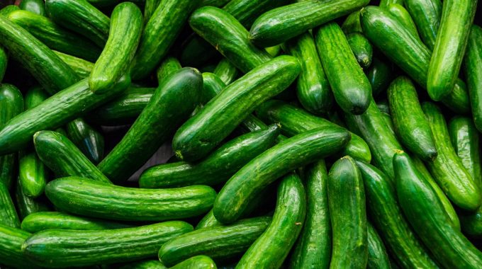 How To Grow Cucumbers With Hydroponics