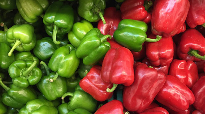 Gypsy Bell Peppers Information and Facts