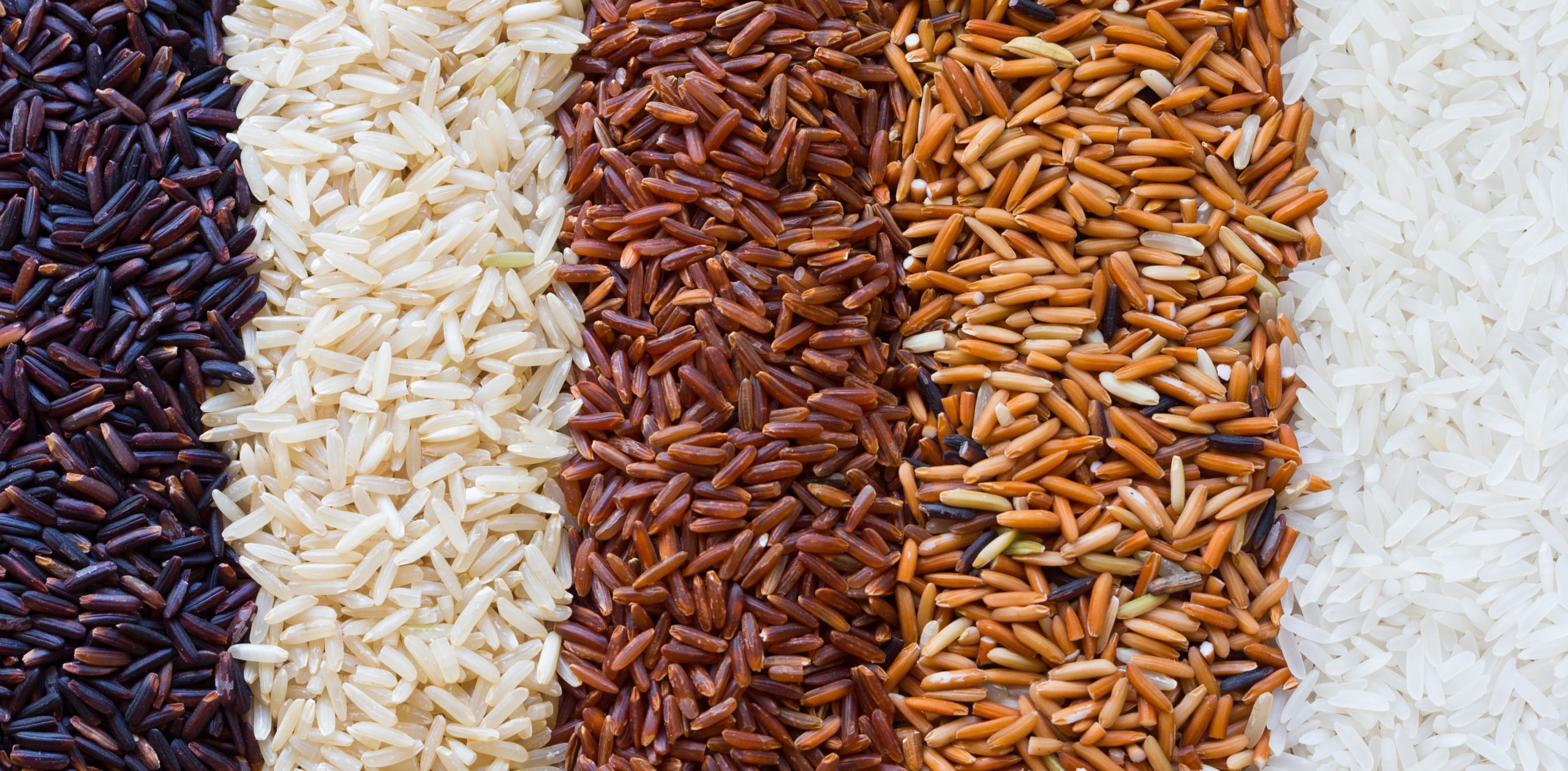 Organic rice from harvesting.
