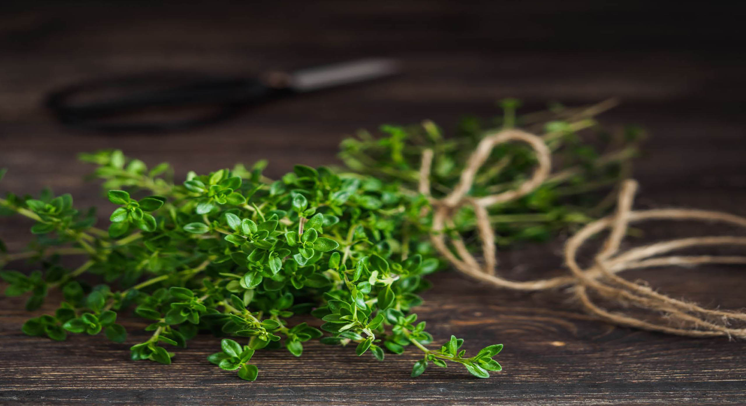 Thyme tied together with a string.