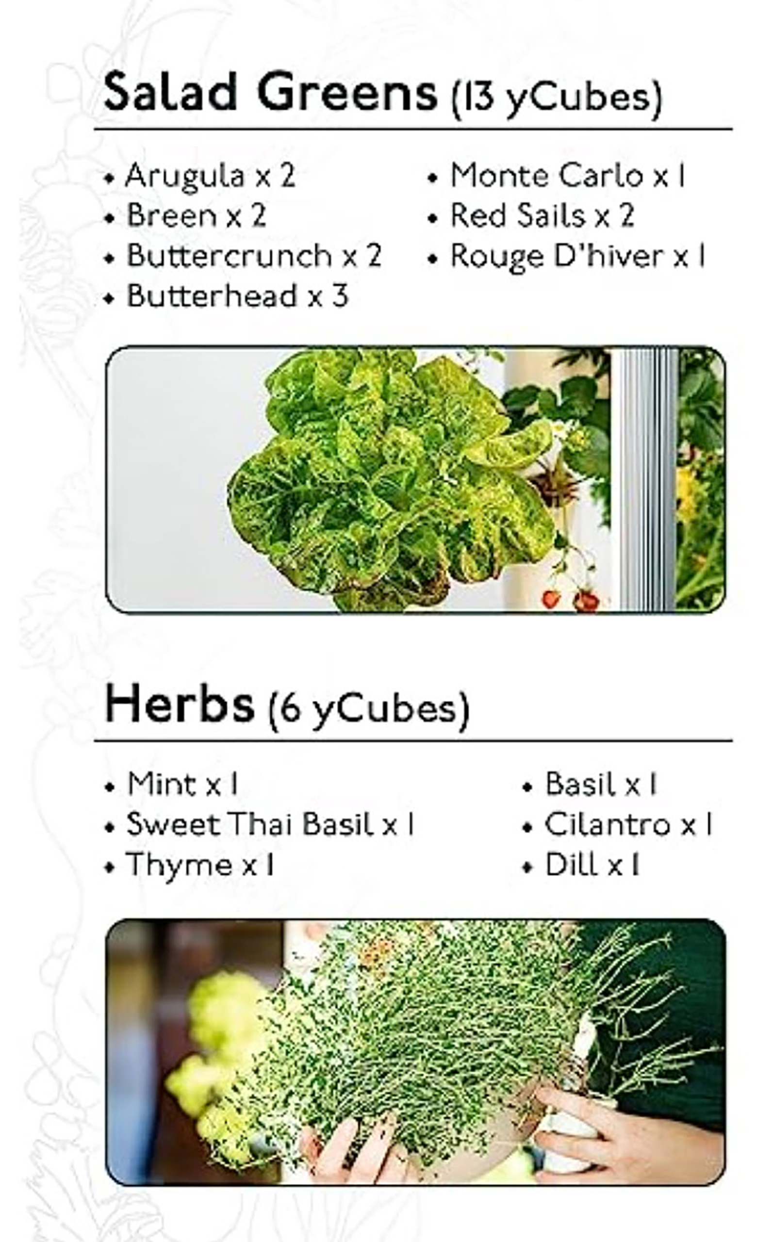 Gardyn 2.0 Herbs
